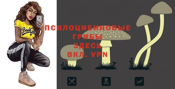 гидра Алексеевка